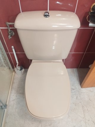 Inodoro beige de baño