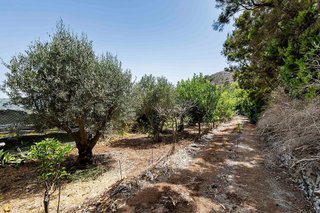 Terreno en venta en Tegueste