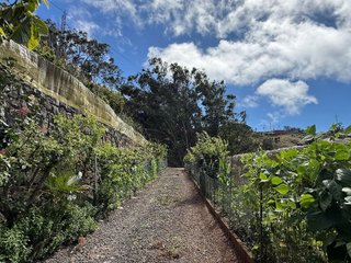 Terreno en venta en Tegueste