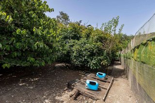 Terreno en venta en Tegueste