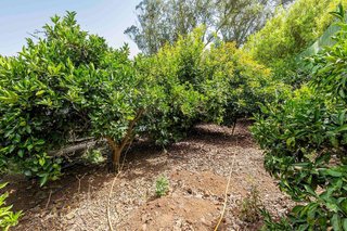 Terreno en venta en Tegueste