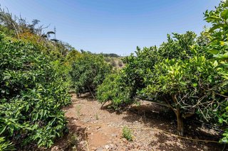 Terreno en venta en Tegueste