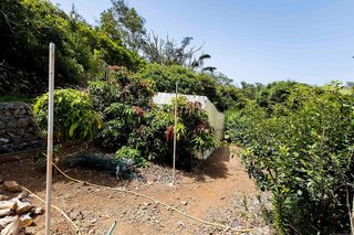 Terreno en venta en Tegueste