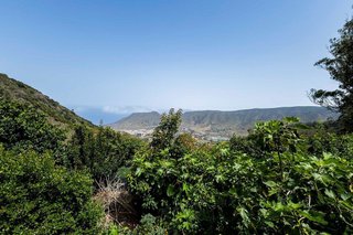 Terreno en venta en Tegueste
