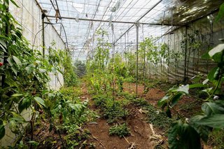 Terreno en venta en Tegueste