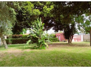 Terreno en venta en La Jara en Sanlúcar de Barrameda