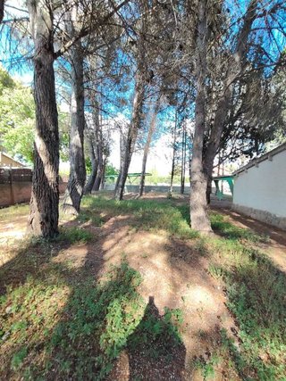 Chalet en venta en San Pablo - Santa Teresa en Albacete