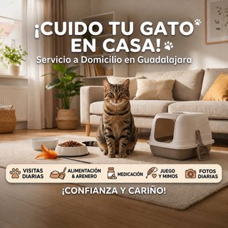 Cuidado de gatos a domicilio en Guadalajara