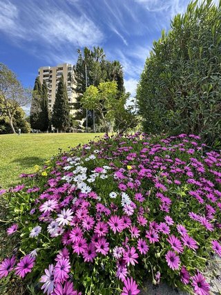 Piso en alquiler en Aloha en Marbella