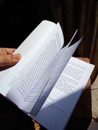 Libro La Gran Caida