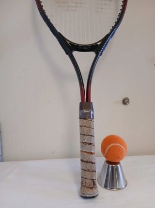 Raqueta Frontenis King Rex (sin pelotas)