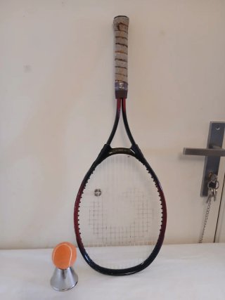 Raqueta Frontenis King Rex (sin pelotas)