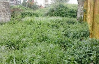 Terreno en venta en Travesía de Vigo - San Xoán en Vigo