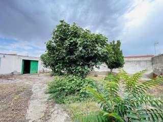 Nave industrial en venta en Guardia (La)