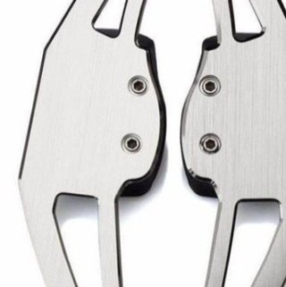 Extensiones de Levas Volkswagen DSG Plata