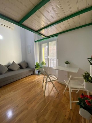 Estudio en alquiler en Embajadores - Lavapiés en Madrid