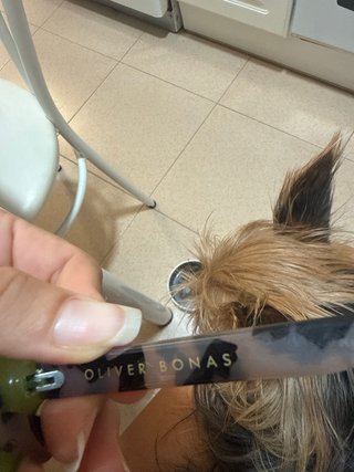 Gafas de sol Oliver Bonas