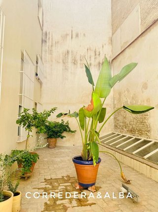 Piso en alquiler en Arenal en Sevilla