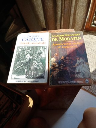 Libros El Diablo enamorado/Apuntaciones