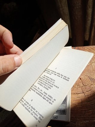 Libros El Diablo enamorado/Apuntaciones