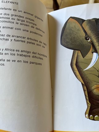 Los animales: Mi pequeño zoo