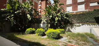 Local comercial en alquiler en Sant Gervasi - Galvany en Barcelona
