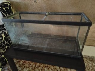 Pecera grande 80L