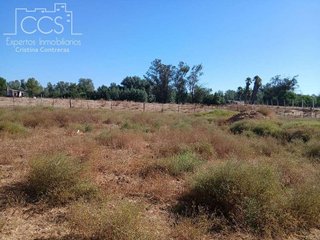 Terreno en venta en Almonte en Almonte