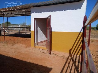 Terreno en venta en Almonte en Almonte
