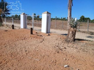 Terreno en venta en Almonte en Almonte