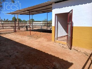 Terreno en venta en Almonte en Almonte