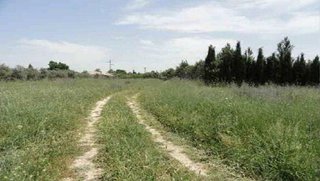 Terreno en venta en Úbeda