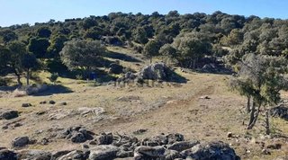 Terreno en venta en Centro en Colmenar Viejo