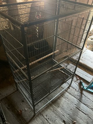 Jaula grande para loros o aves