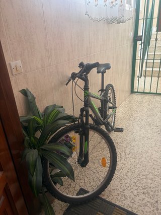 Bicicleta Neon