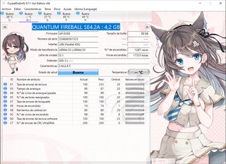 Lote 5 Discos Duros IDE 4GB Vintage