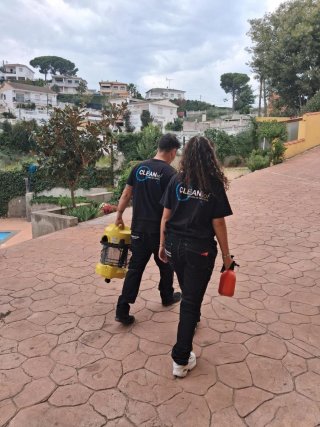 Limpieza de tapizados