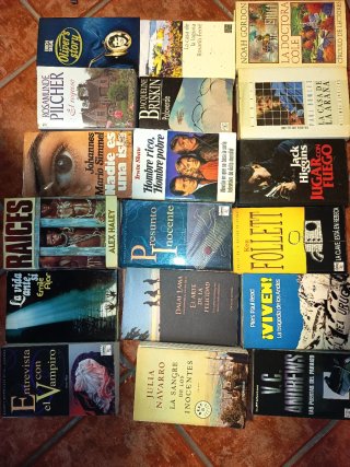 Lote de libros de lectura.