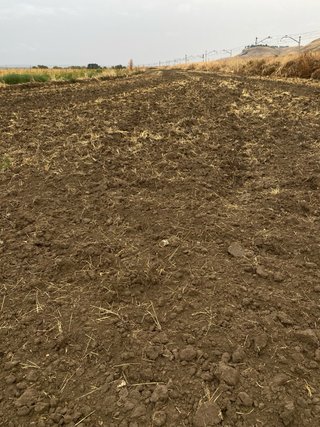 Alquiler parcela agrícola
