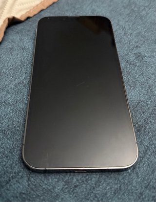 iPhone 13 Pro 256GB Gris Espacial