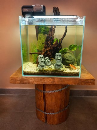 Acuario 40L + Mesa Artesana Madera