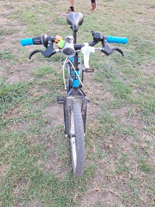 Bici infantile Decathlon 20 blu