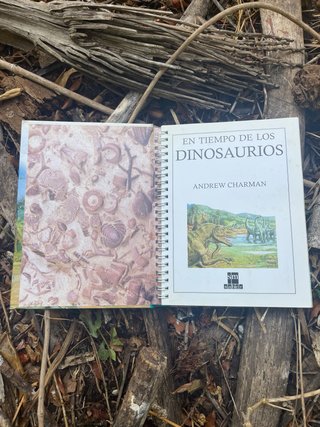 En tiempo de los dinosaurios