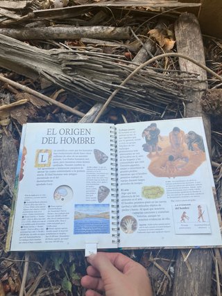 En tiempo de los dinosaurios