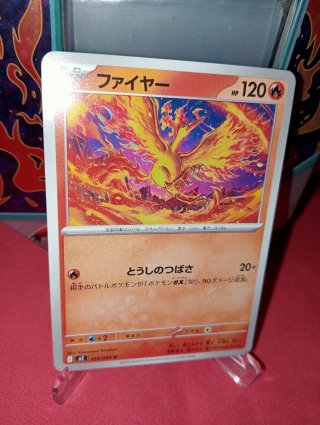 Moltres Pokémon Fire