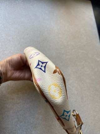 Bolso Louis Vuitton Pochette Accessoire Multicolor