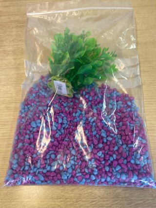 Piedras y planta para acuario