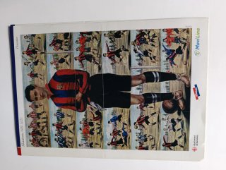 Lote 10 láminas cromos troquelados gigantes barça