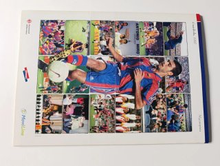 Lote 10 láminas cromos troquelados gigantes barça