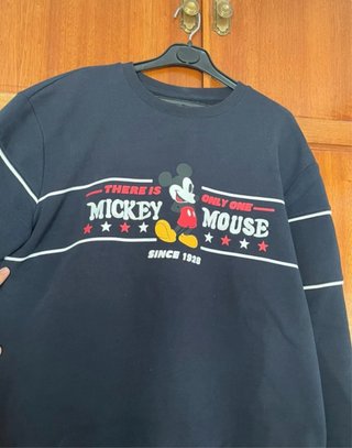 Sudadera Disney estilo retro. Perfil solidario